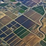 Agriculture Agriculture